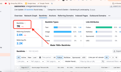 Backlink audit report copy